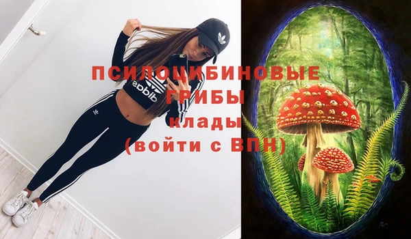 амф Инта