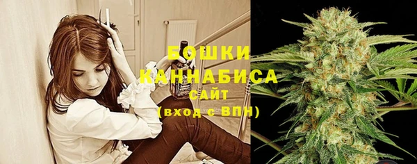 амф Инта