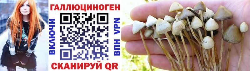 Псилоцибиновые грибы GOLDEN TEACHER  Купить  Нюрба 